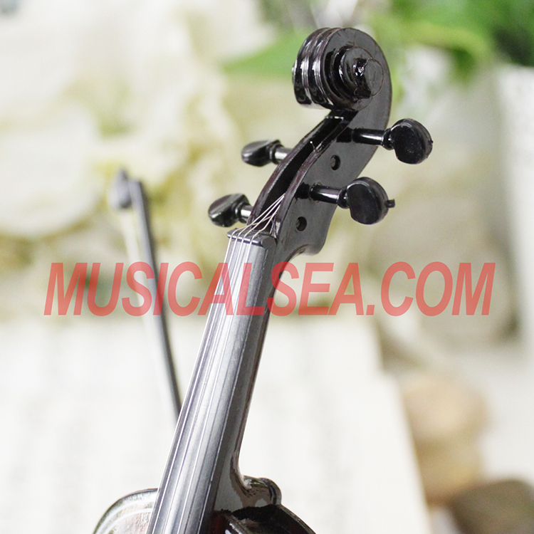 violin gift